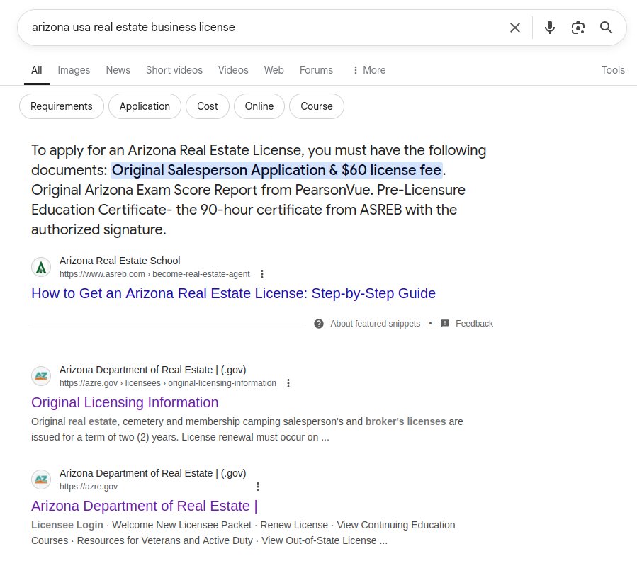 google search 1